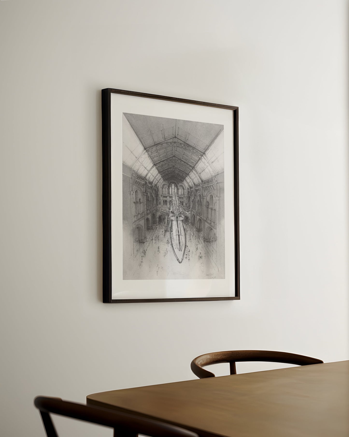 Natural History Museum London Prints