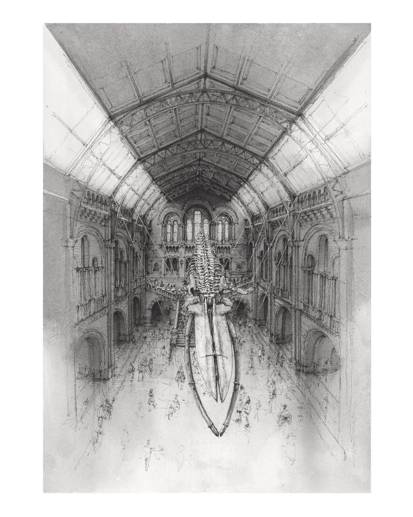 Natural History Museum London Prints
