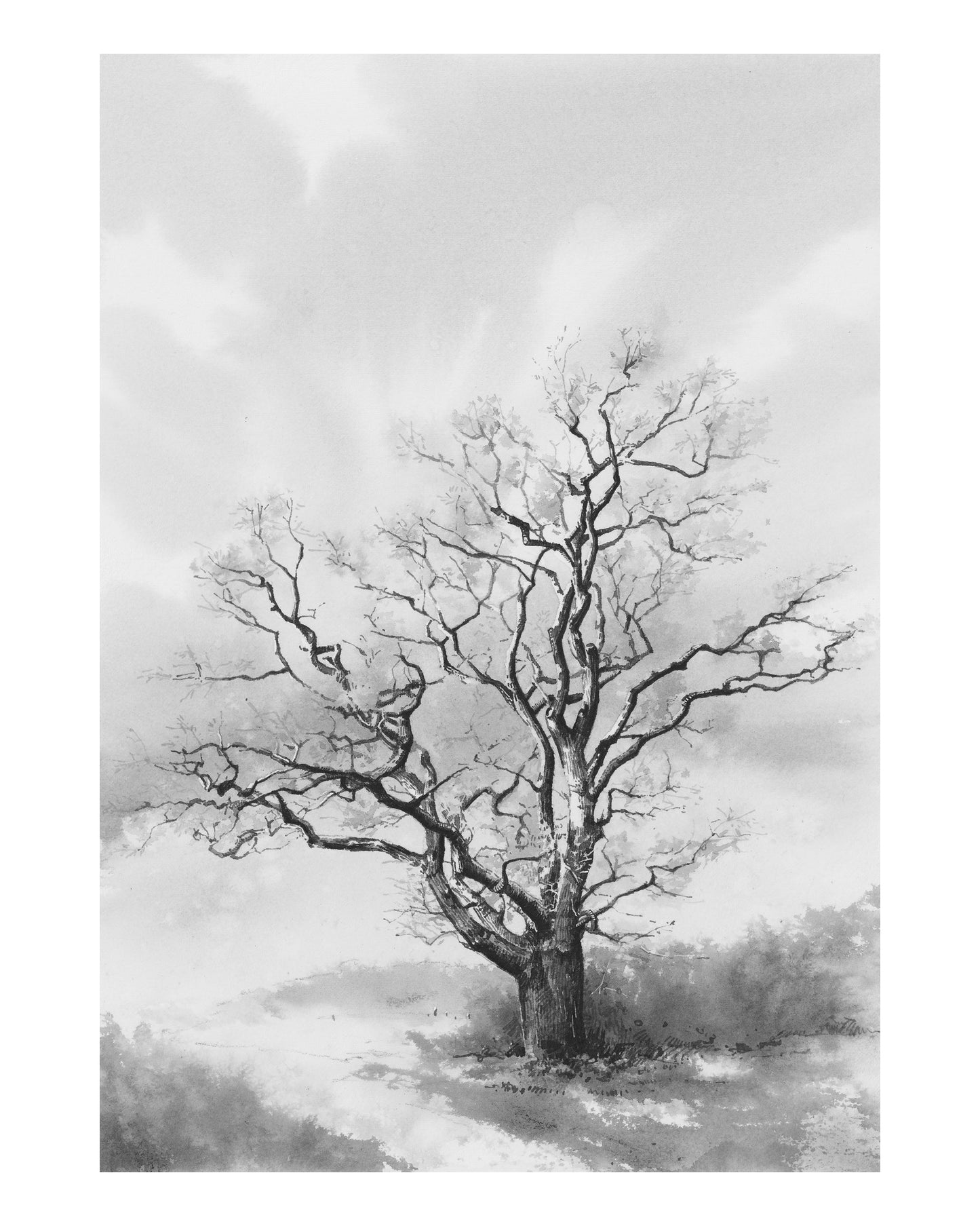 Tree -Original Original drawing