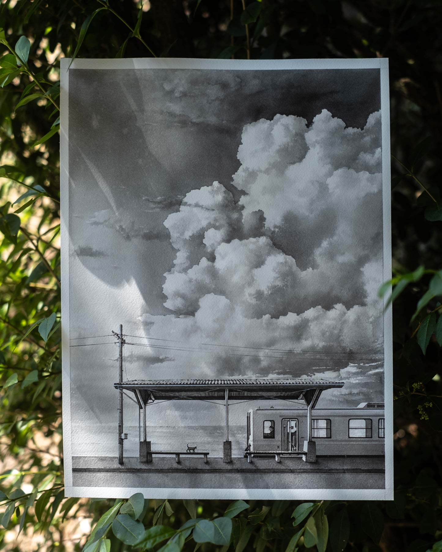 The Quiet Arrival - Original