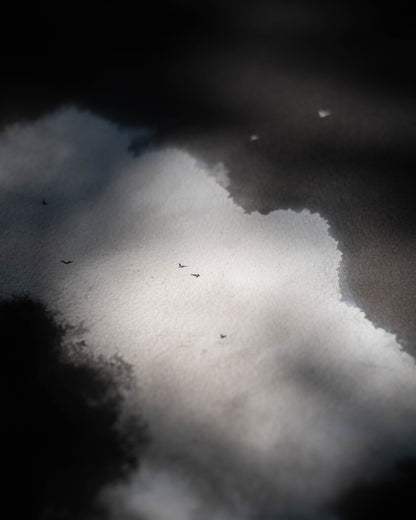 Passing Light II - Original