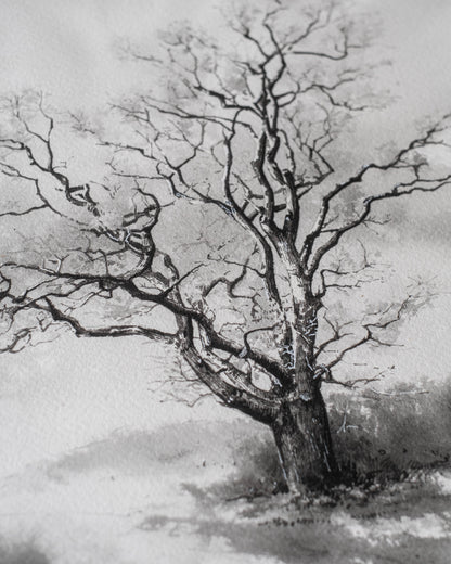 Winter’s Silence - Original