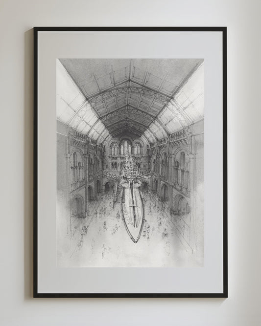 Natural History Museum London -Original Original drawing