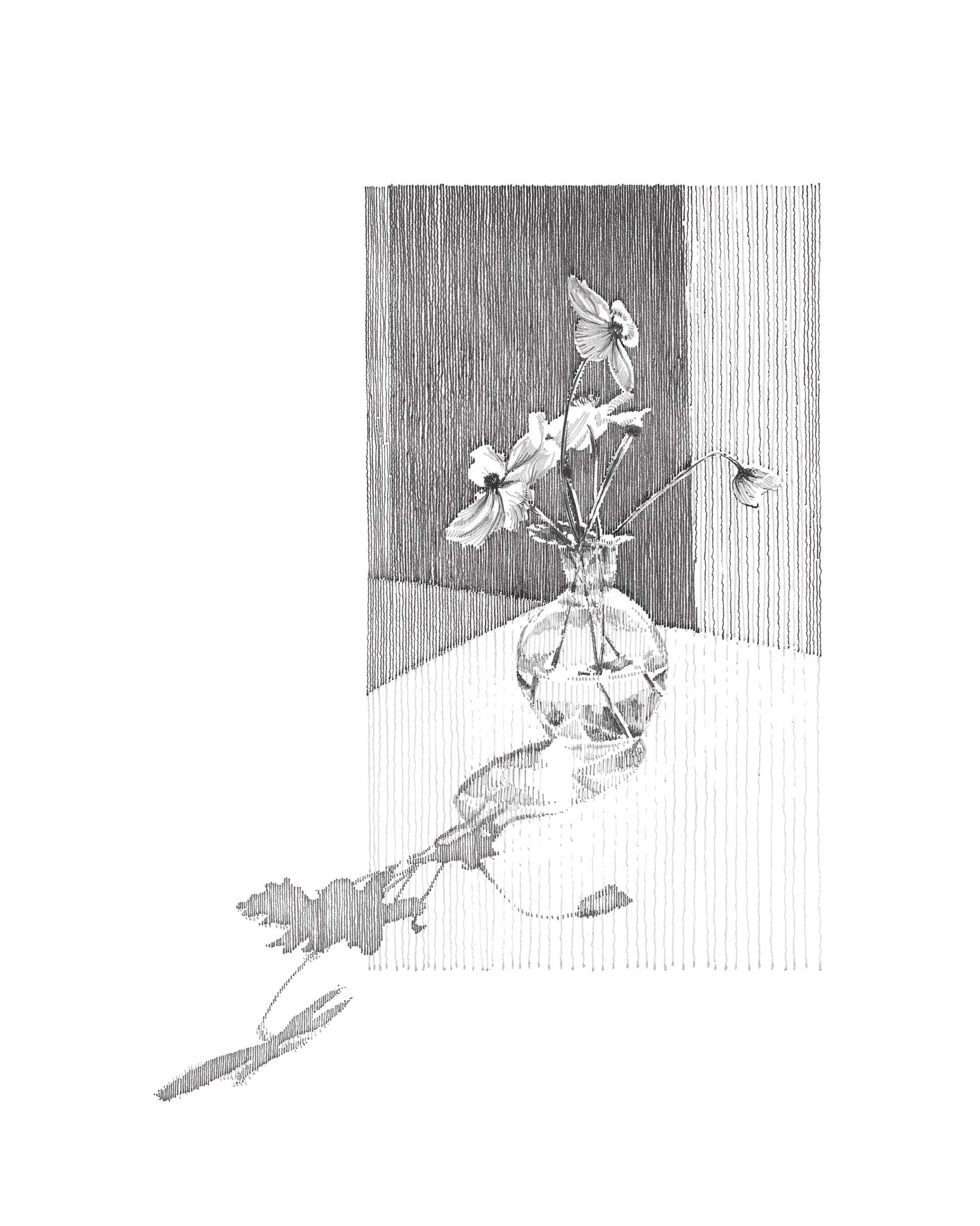 Vase - Original Original drawing